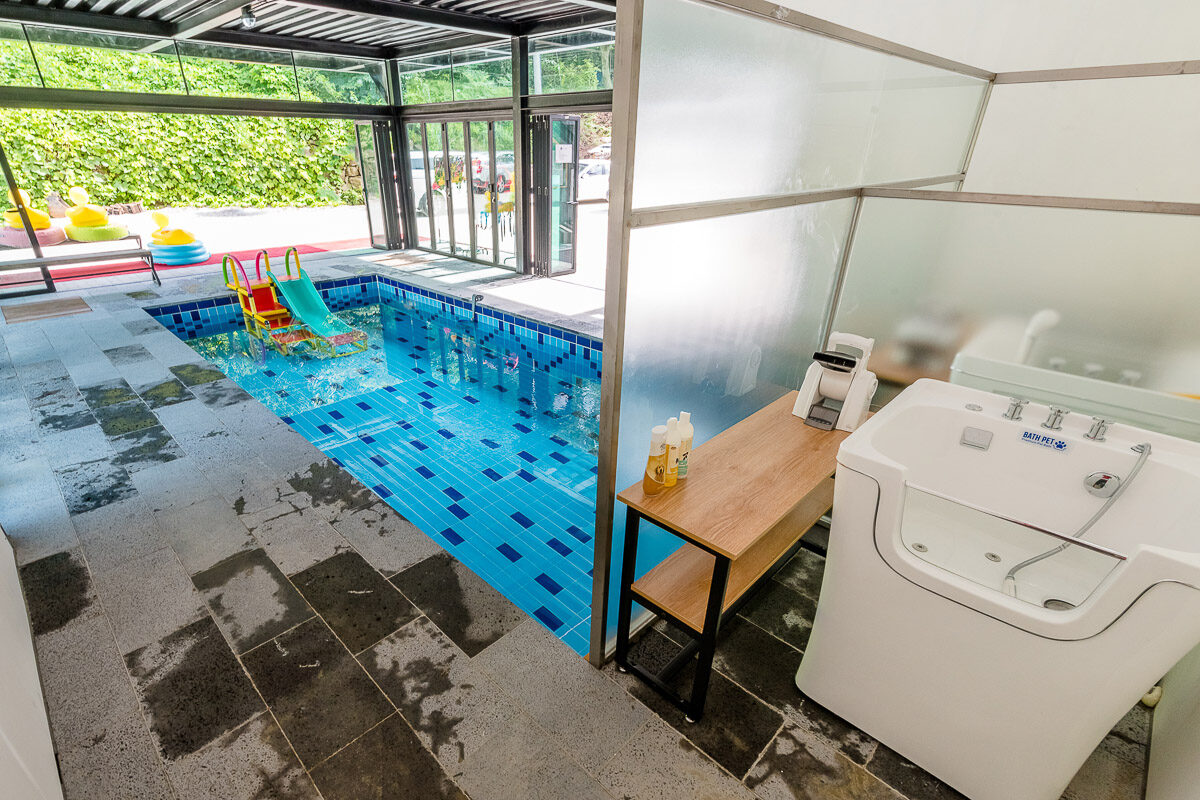 newpool-10